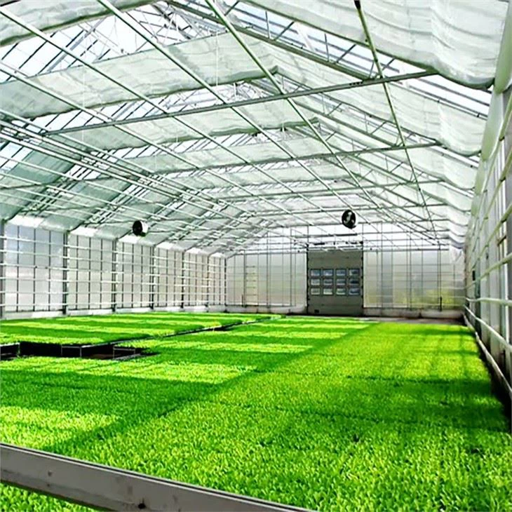 Multi-span Polycarbonate Panel Greenhouse