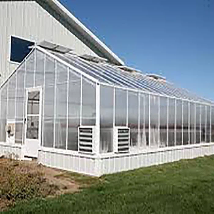 Venlo Strong Wind Snow Resistant Polycarbonate Light Deprivation Greenhouse
